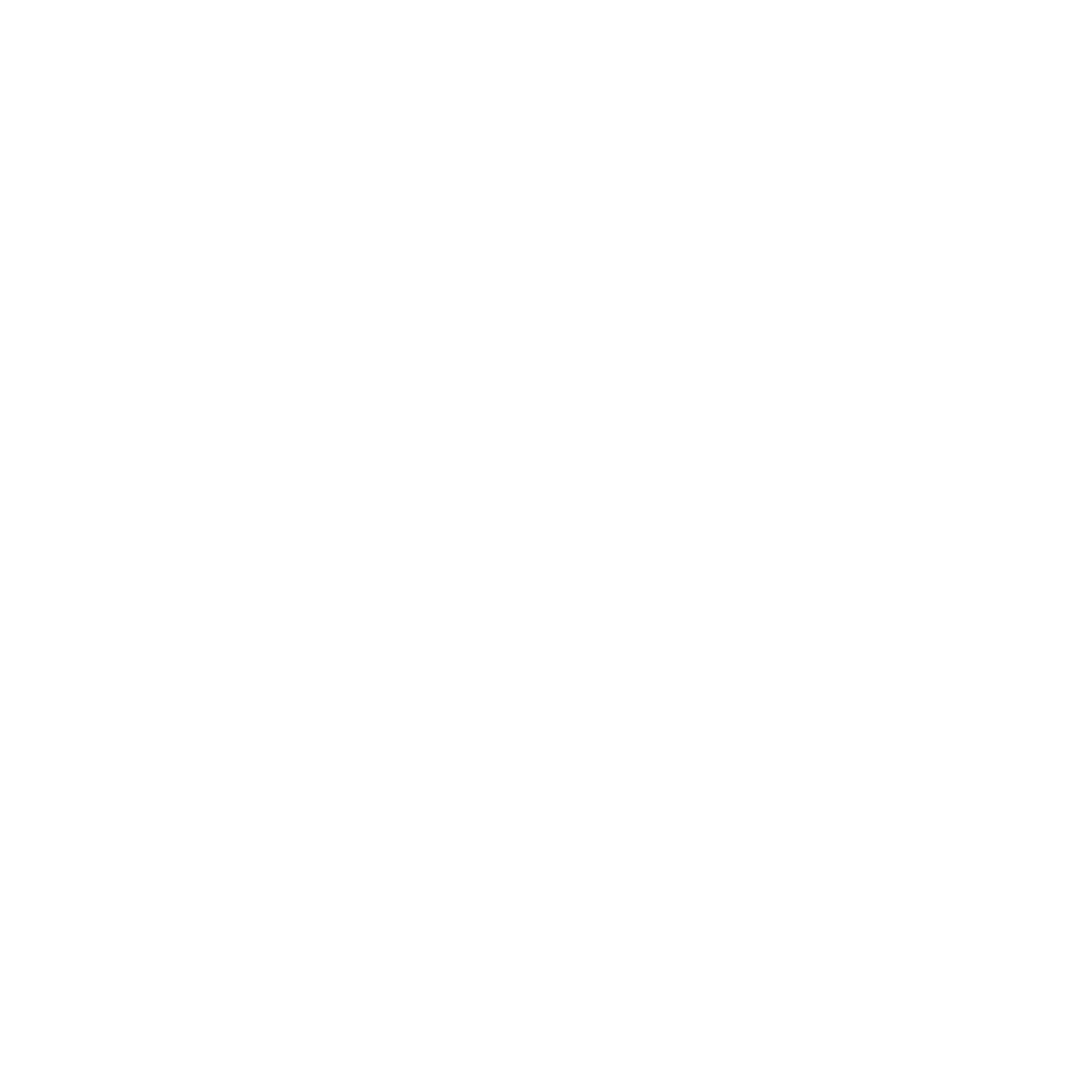 The Spanglish Society®